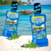 MisterMint Clasicc, Full Proteccion, Menta Fresca y Yerbabuena 300 ml y 500 ml